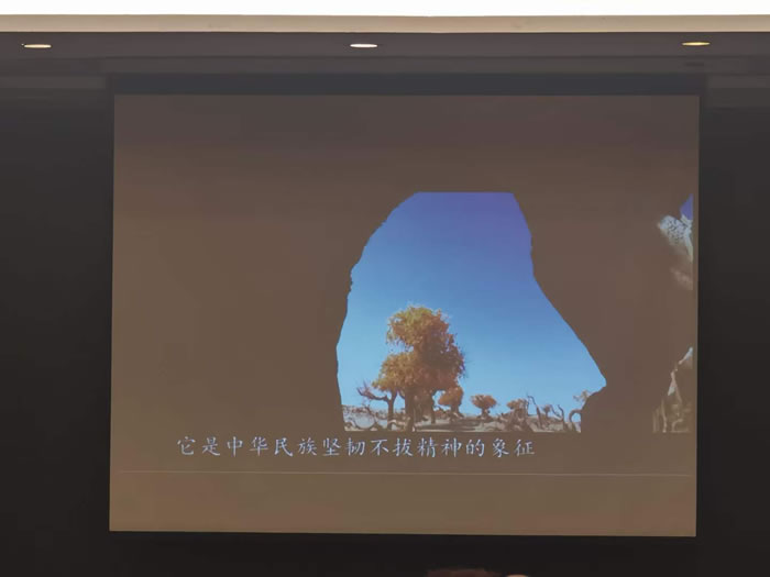 綿陽中旅行假日旅行社舉行胡楊林、南疆專列推薦會(huì)